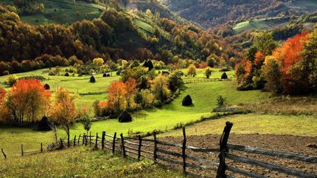 Vibrant Summer Landscape with Lush Greenery and Forest Hills wallpaper