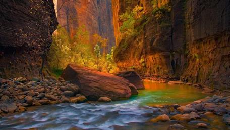 Majestic Canyon River Sanctuary wallpaper