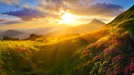 Golden Sunrays Over Hill-Side Fields wallpaper