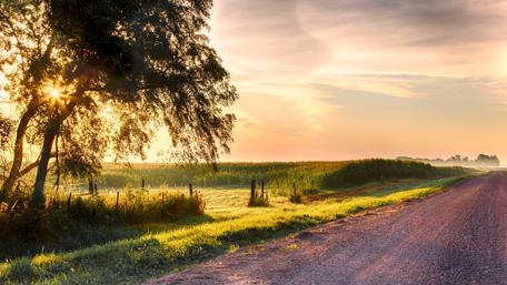 Sunrise Serenity on a Country Path wallpaper
