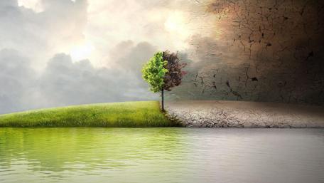 Tree of Life at the Edge of Transformation wallpaper