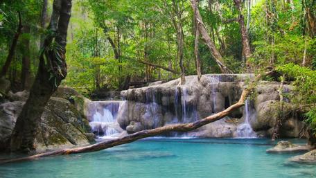 Tranquil Forest Waterfall Oasis wallpaper