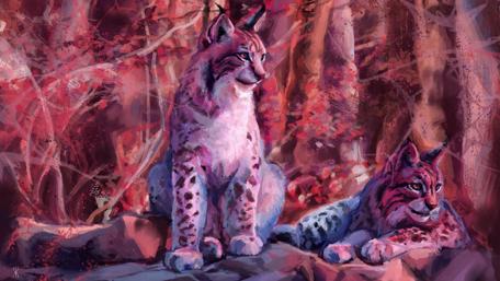 Majestic Lynxes in a Vibrant Forest Setting wallpaper