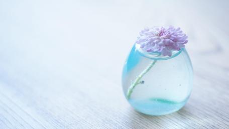 Serenity in Bloom: Delicate Flower in Glass Vase wallpaper