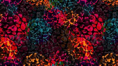 Vibrant Spectrum of Shapes and Shades wallpaper