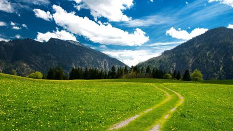 Mountain Trail Through Lush Green Fields wallpaper