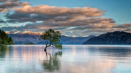 Serene Lakeside Bliss wallpaper
