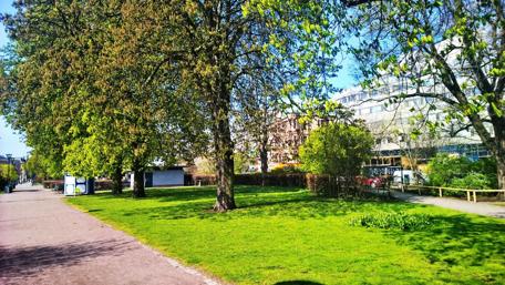 Serene Spring Day in Malmo's Urban Oasis wallpaper