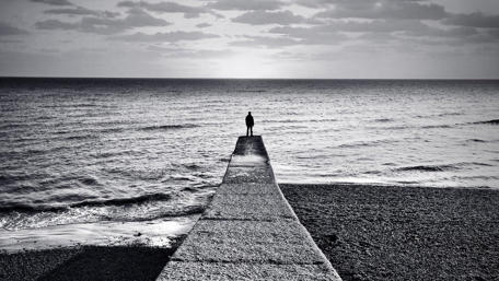 Solitude by the Shoreline wallpaper