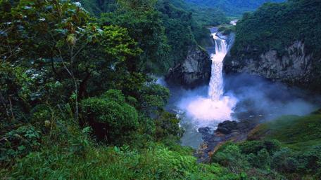 Majestic Waterfall in Lush Green Wilderness wallpaper