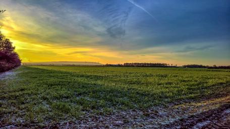 Expansive Meadow Under Majestic Sky wallpaper
