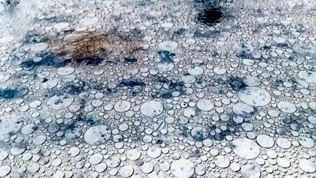 Droplets on a Reflective Surface wallpaper