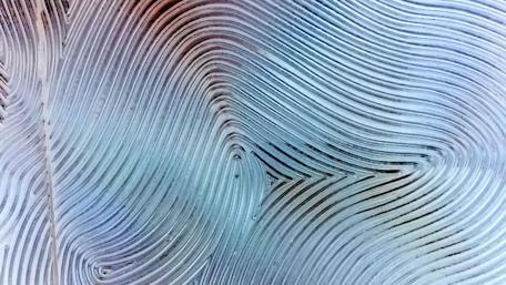 Waves of Colorful Lines Dance in Harmony wallpaper