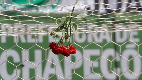 Tribute to Sporting Spirit and Resilience wallpaper