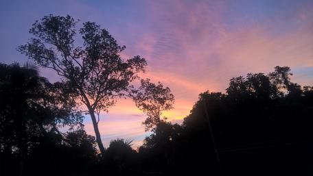Serene Sunset Over Silhouetted Trees wallpaper