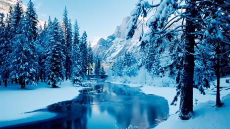 Snowy Serenity in Nature's Embrace wallpaper