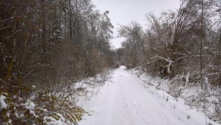 Winter Wonderland Road in Russia wallpaper