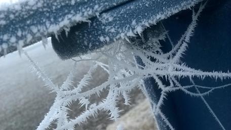Delicate Frosted Spider Web Artistry wallpaper