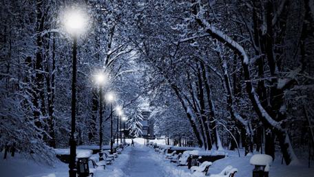 Winter's Midnight Serenity wallpaper