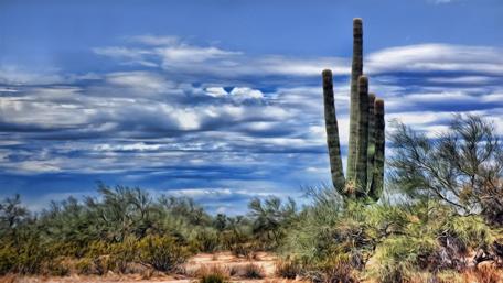 Desert Serenity Under a Vast Sky wallpaper