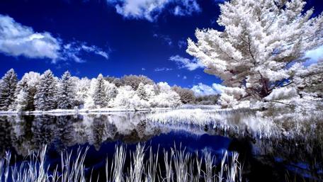 Winter Serenity by the Frozen Lake wallpaper