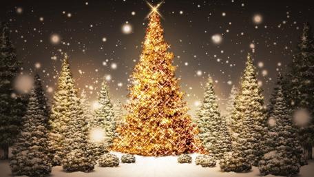 Radiant Christmas Tree in Snowy Wonderland wallpaper
