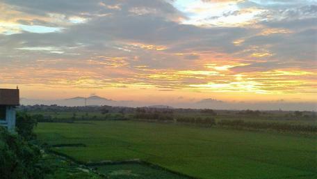 Serene Sunset Over Lush Green Fields wallpaper