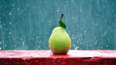 Fresh Pear in the Rain Drops wallpaper