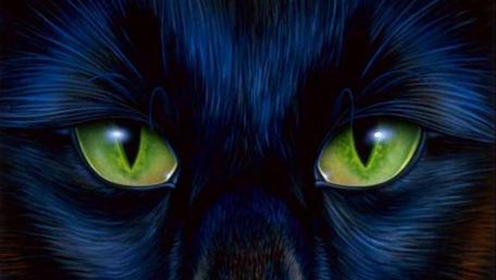 Mysterious Cat Eyes in Darkness wallpaper