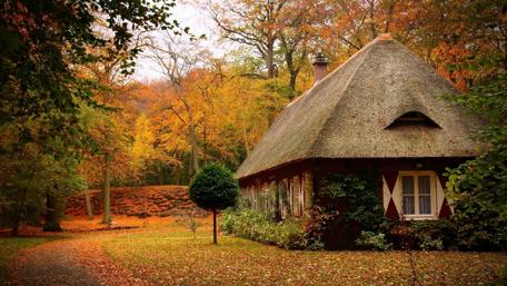 Cozy Cottage in Autumn Countryside wallpaper