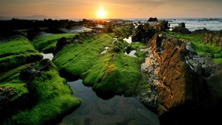 Serene Sunset Over Mossy Rocks wallpaper