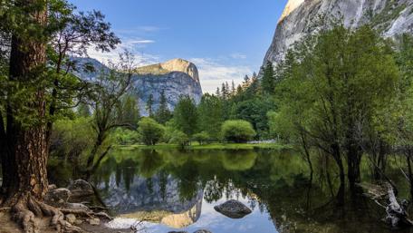 Serene Lake Reflection Amidst Majestic Forest Scene wallpaper