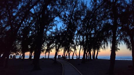 Mystical Twilight in Urban Wilderness wallpaper