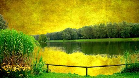 Golden Serenity by the Lake wallpaper