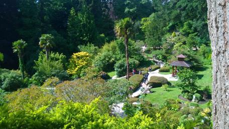 Lush Green Oasis in Ireland's Parkland wallpaper