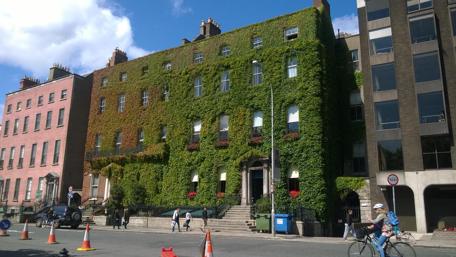 Green Oasis in the Heart of the City wallpaper