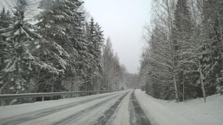 Winter's Silent Journey Through the Snowy Forest Landscape wallpaper