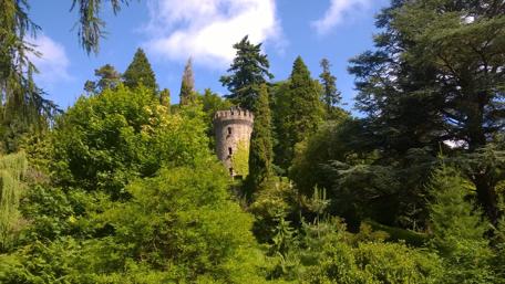 Enchanting Castle Surrounded by Lush Greenery wallpaper