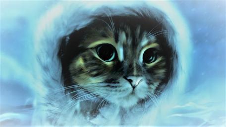 Feline Gaze in Winter's Embrace wallpaper
