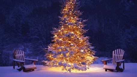 Christmas tree wallpaper