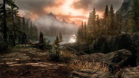 Misty Forest Morning wallpaper
