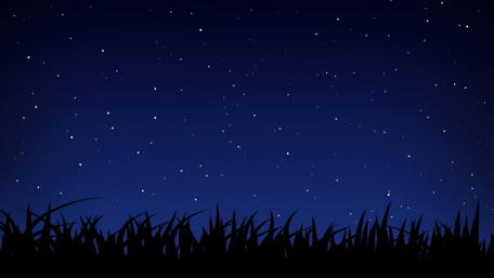 Dark Sky with Stars Over Silhouetted Grass wallpaper