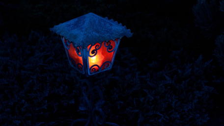 Illuminated Lantern in the Night Garden wallpaper