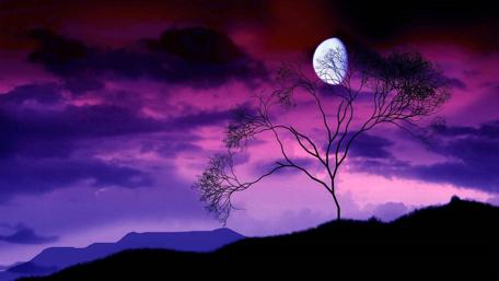 Purple Twilight Serenity wallpaper