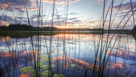 Sunrise Serenity Over Tranquil Waters wallpaper