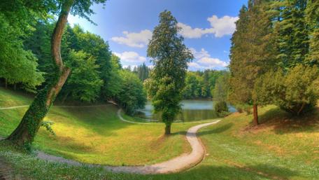 Serene Lake Surrounded by Lush Greenery and Trees wallpaper