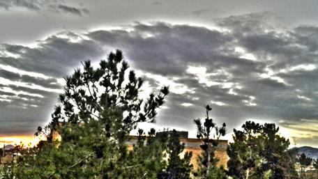 Cityscape at Dusk with Silhouetted Trees wallpaper