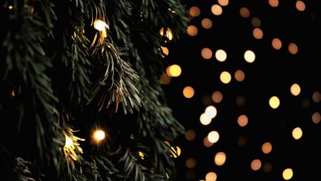Festive Glow of Holiday Lights wallpaper