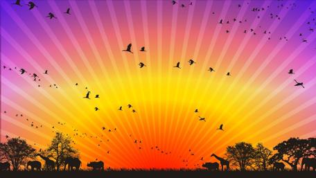 Morning Serenity with Wildlife Sunshine and Shadows wallpaper