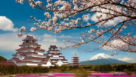 Springtime Serenity at Asian Pagoda wallpaper